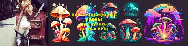 ПСИЛОЦИБИНОВЫЕ ГРИБЫ Беломорск