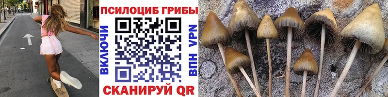 Псилоцибиновые грибы MAGIC MUSHROOMS Вельск